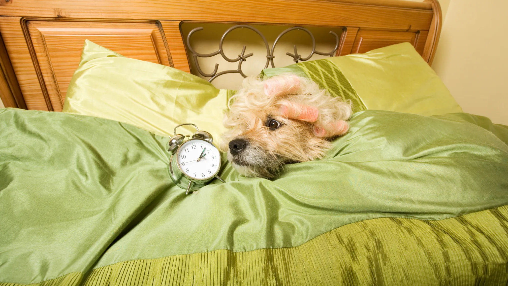 Ignorancia y confianza