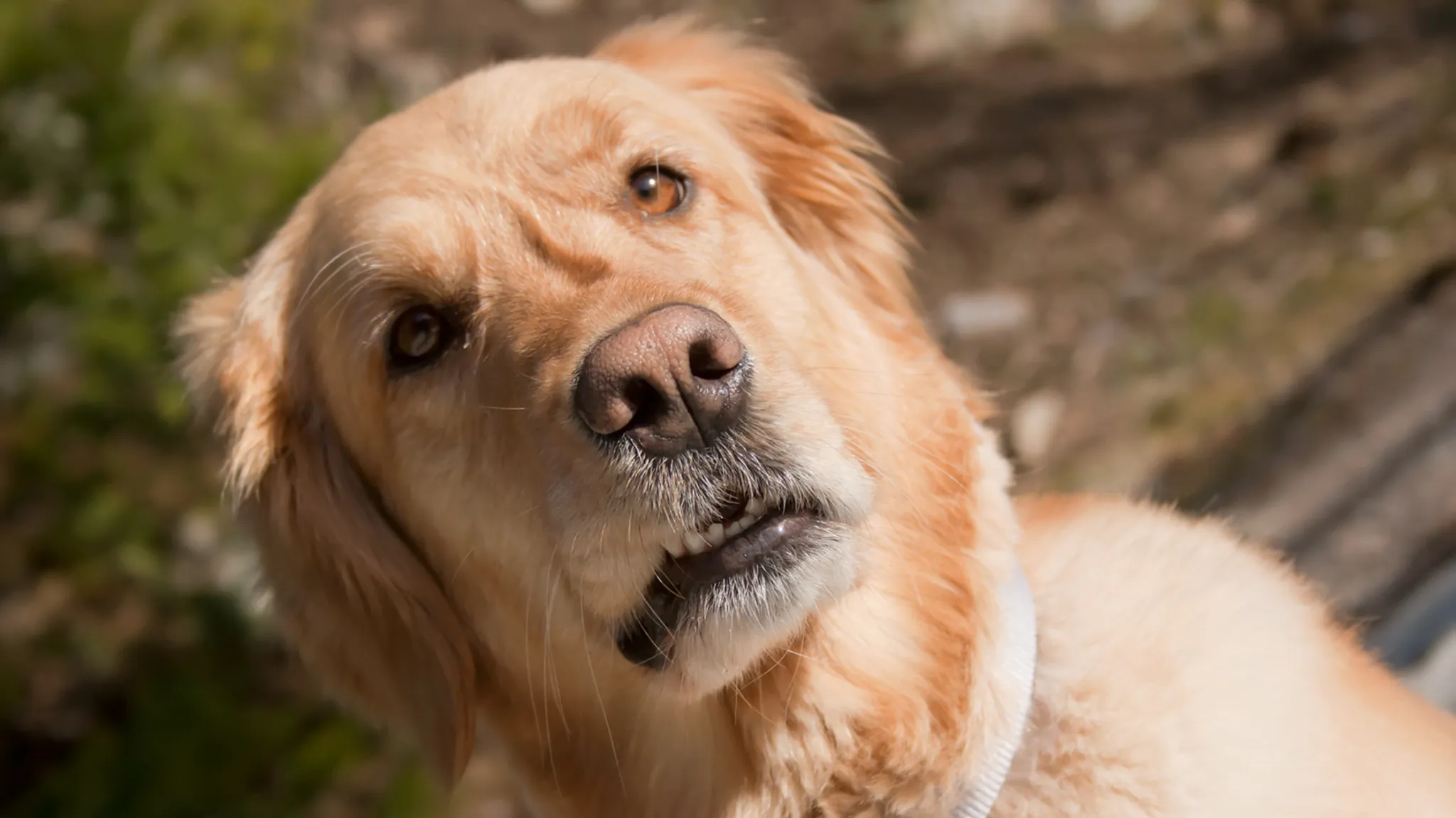 No estoy orgulloso de esto