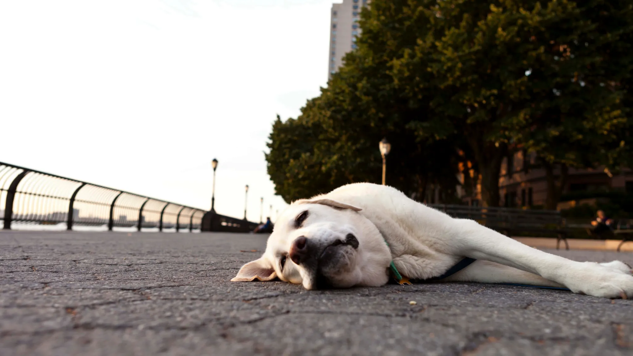 La hazaña que todos decían que era imposible